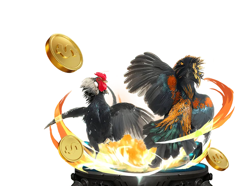 Chính sách khuyến mãi hấp dẫn tại 555win